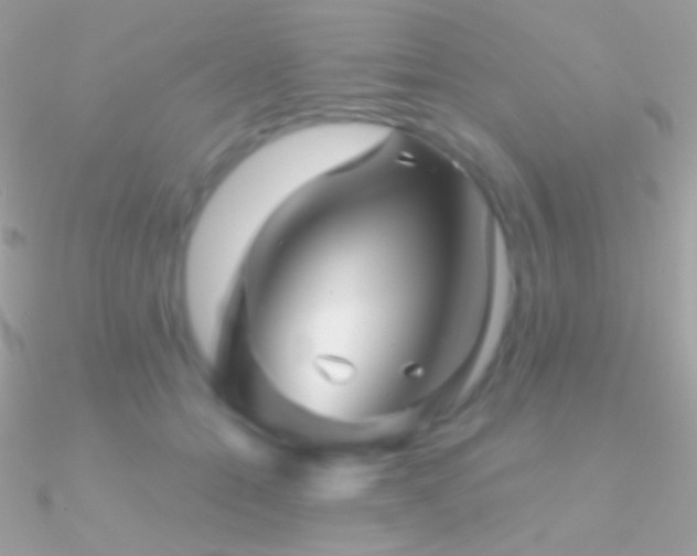 X0000090950558200708021339