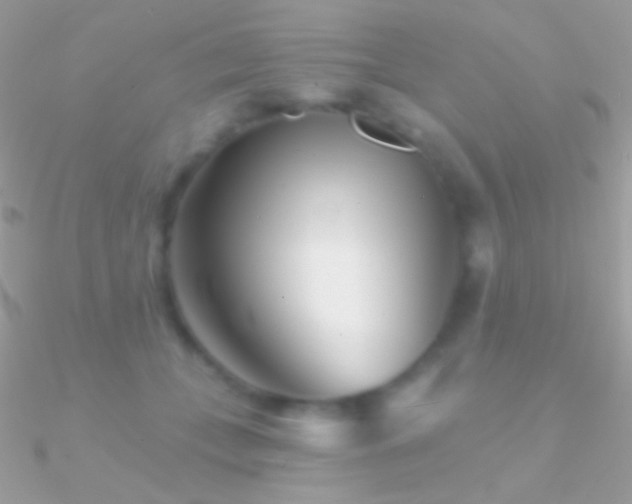 X0000090950559200708021339