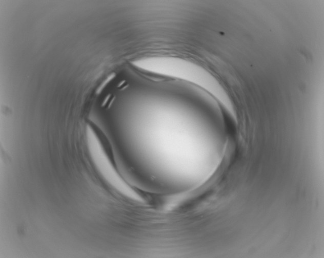 X0000090950560200708021339