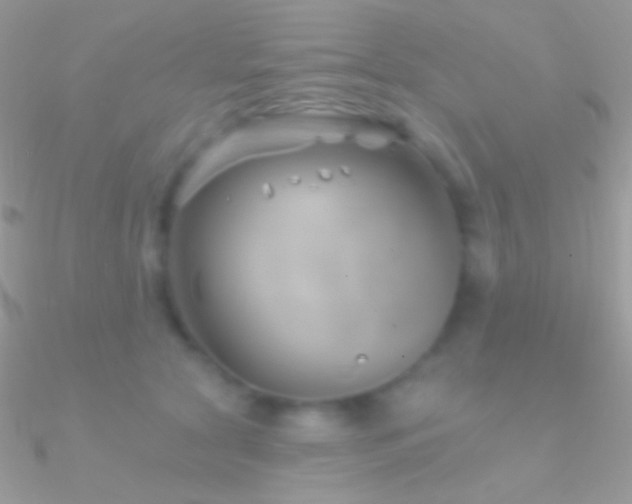 X0000090950561200708021339