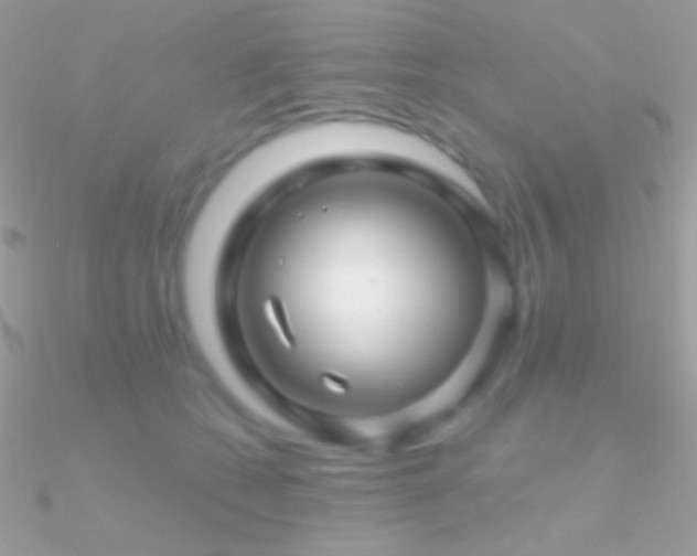X0000090950562200708021339