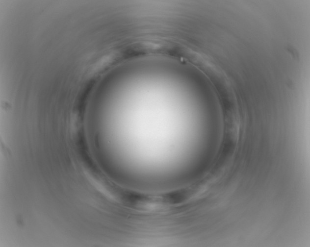 X0000090950563200708021339