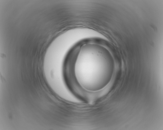 X0000090950564200708021339