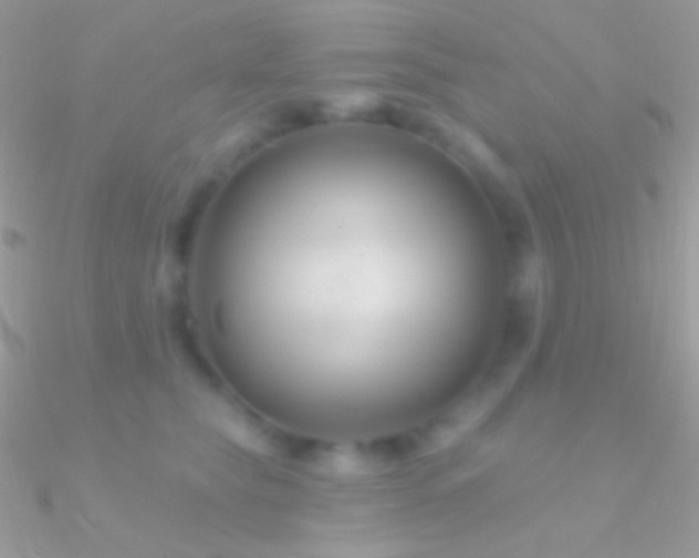 X0000090950565200708021339