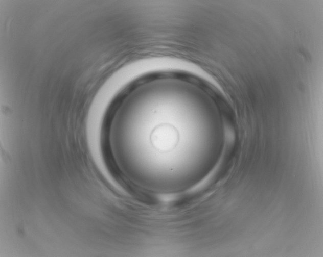 X0000090950566200708021339