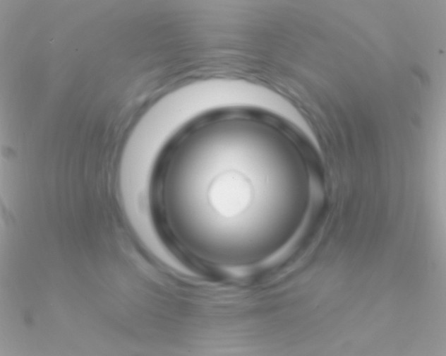 X0000090950568200708021339