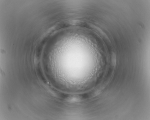 X0000090950569200708021339