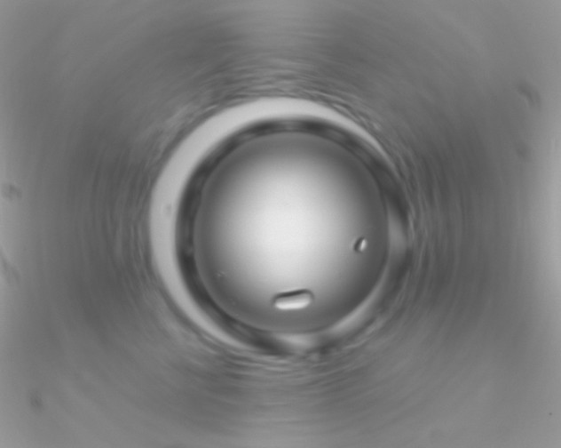 X0000090950570200708021339