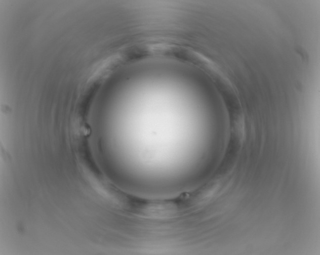 X0000090950571200708021339