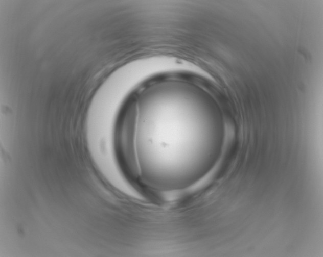 X0000090950572200708021339