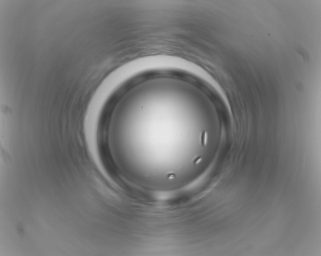 X0000090950574200708021339