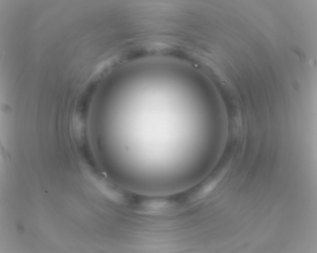 X0000090950575200708021339