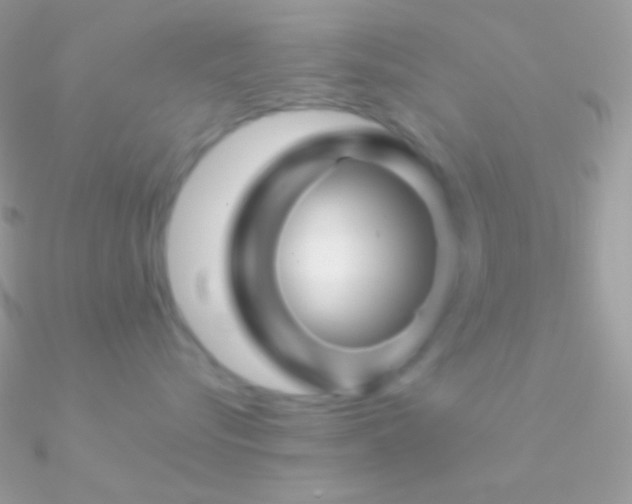 X0000090950576200708021339