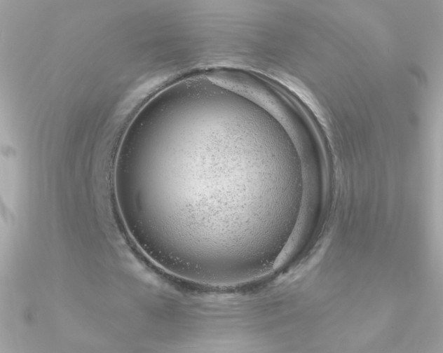 X0000090950577200708021338