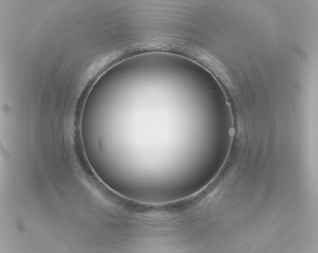 X0000090950578200708021338