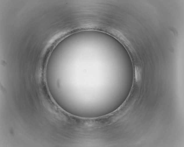 X0000090950579200708021338