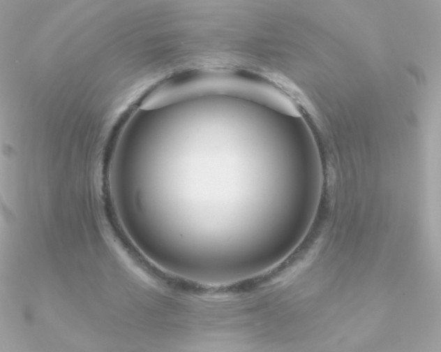 X0000090950581200708021338