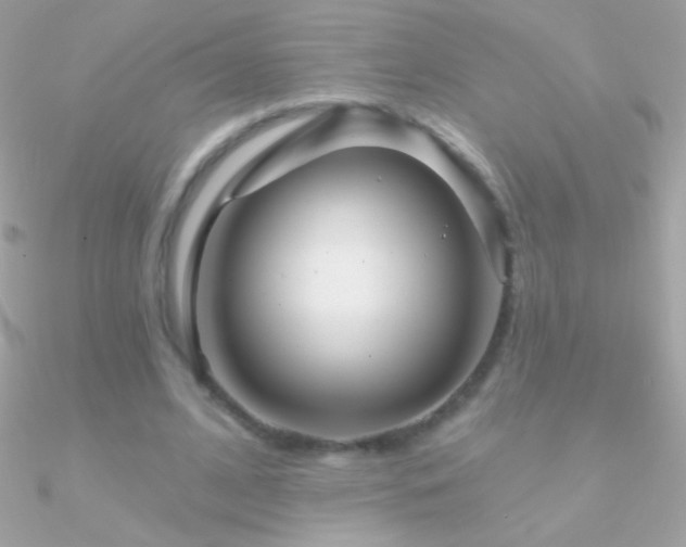 X0000090950584200708021338
