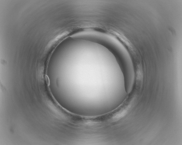 X0000090950585200708021338