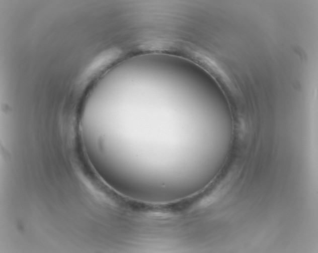 X0000090950586200708021338