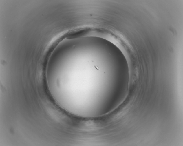 X0000090950588200708021338