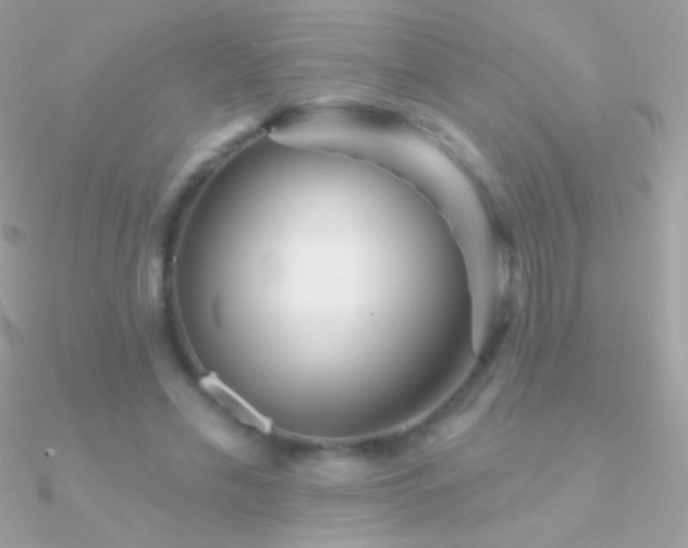 X0000090950589200708021338