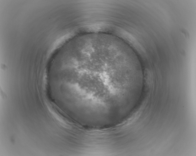 X0000090950590200708021338