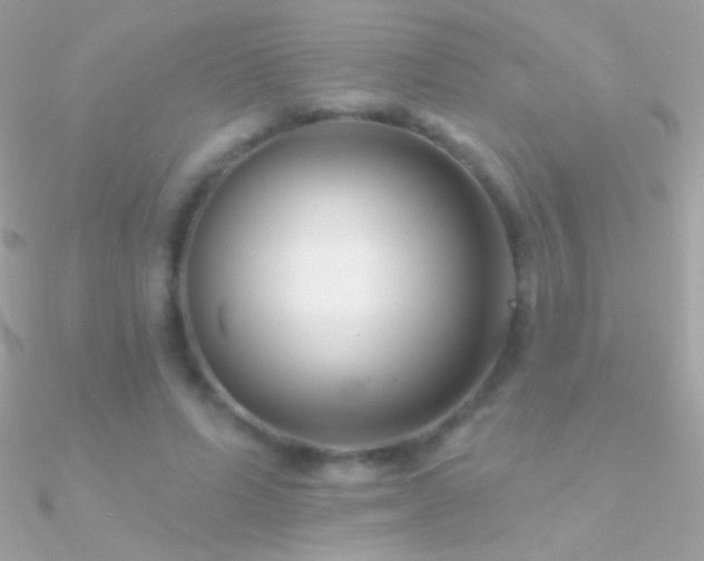 X0000090950591200708021338