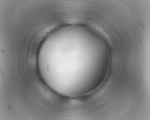 X0000090950592200708021338