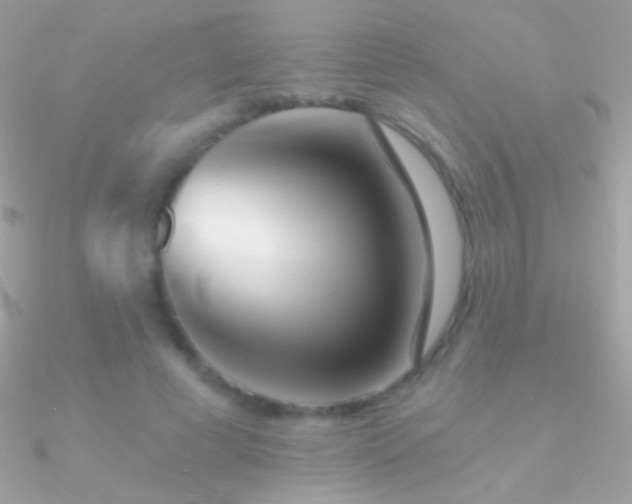 X0000090950593200708021338