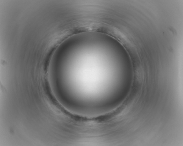 X0000090950594200708021338