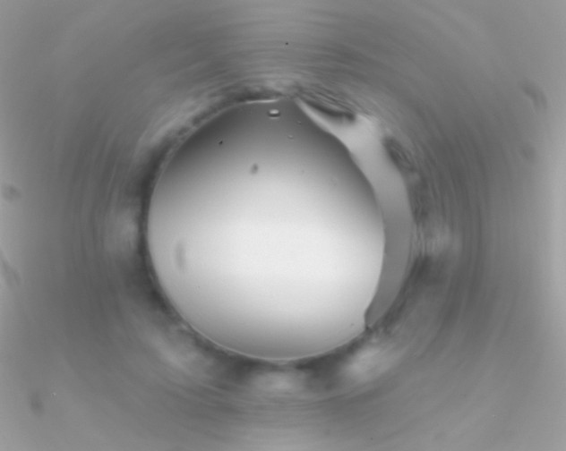 X0000090950595200708021338