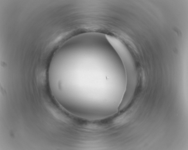 X0000090950596200708021338