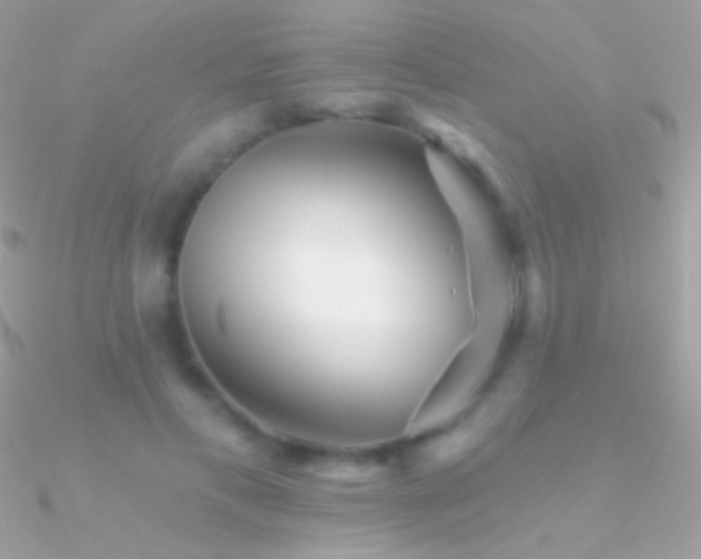 X0000090950597200708021338