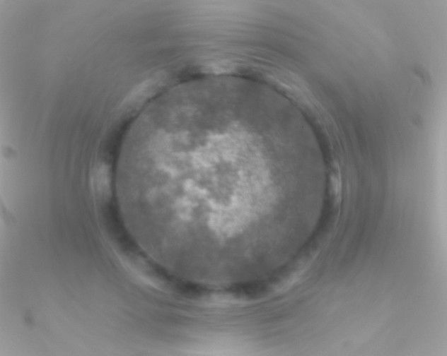 X0000090950598200708021338