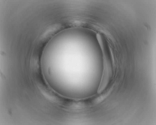 X0000090950599200708021338