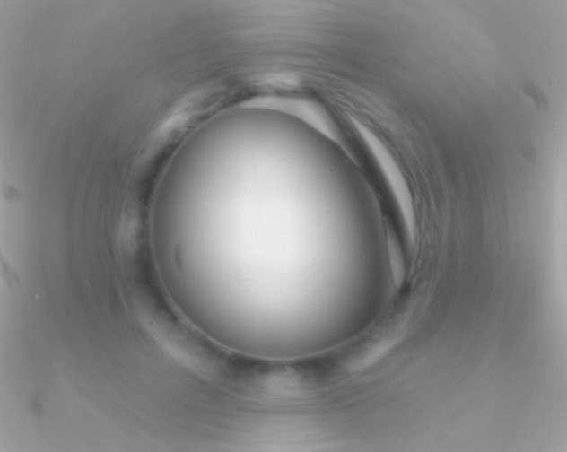 X0000090950600200708021338