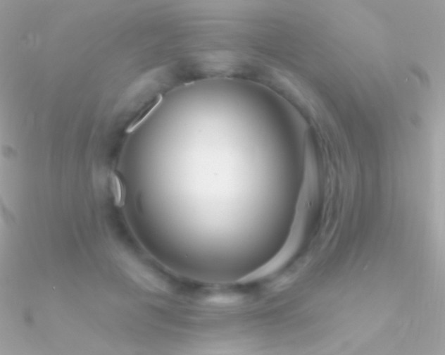 X0000090950601200708021338