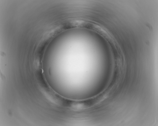 X0000090950602200708021338