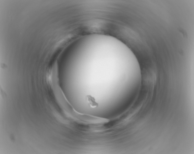 X0000090950603200708021338