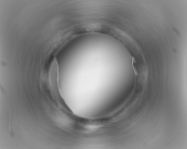 X0000090950604200708021338