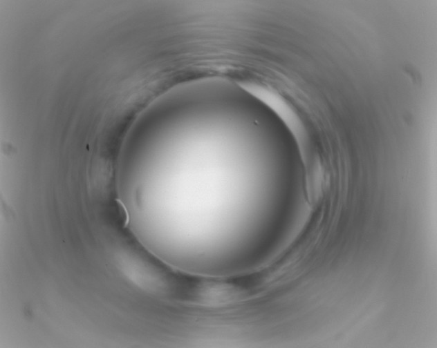 X0000090950605200708021338