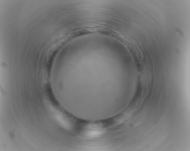 X0000090950606200708021338