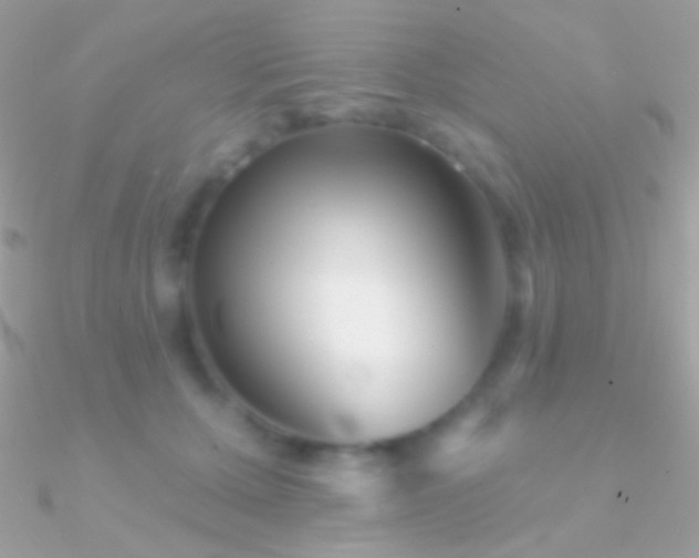 X0000090950607200708021338