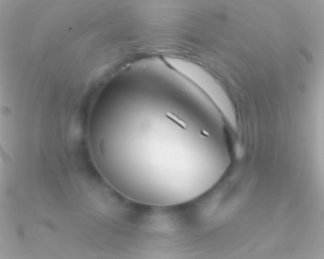 X0000090950608200708021338
