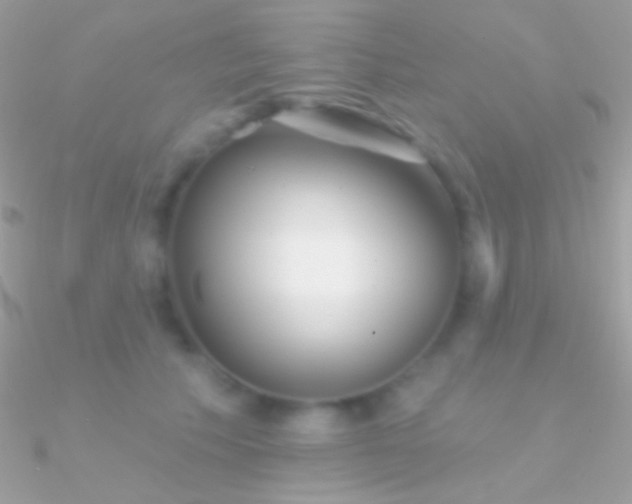 X0000090950609200708021338