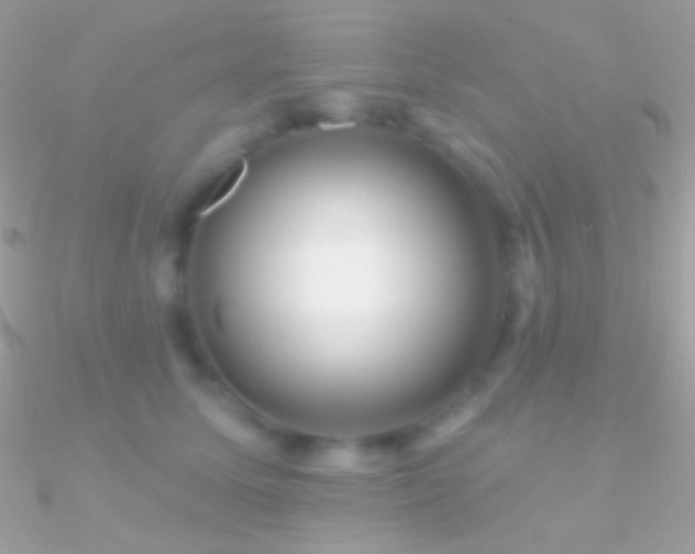 X0000090950611200708021338