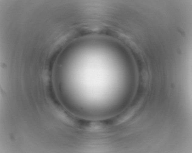X0000090950612200708021338