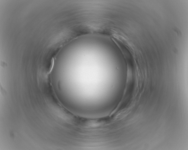 X0000090950613200708021338
