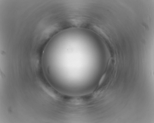 X0000090950615200708021338
